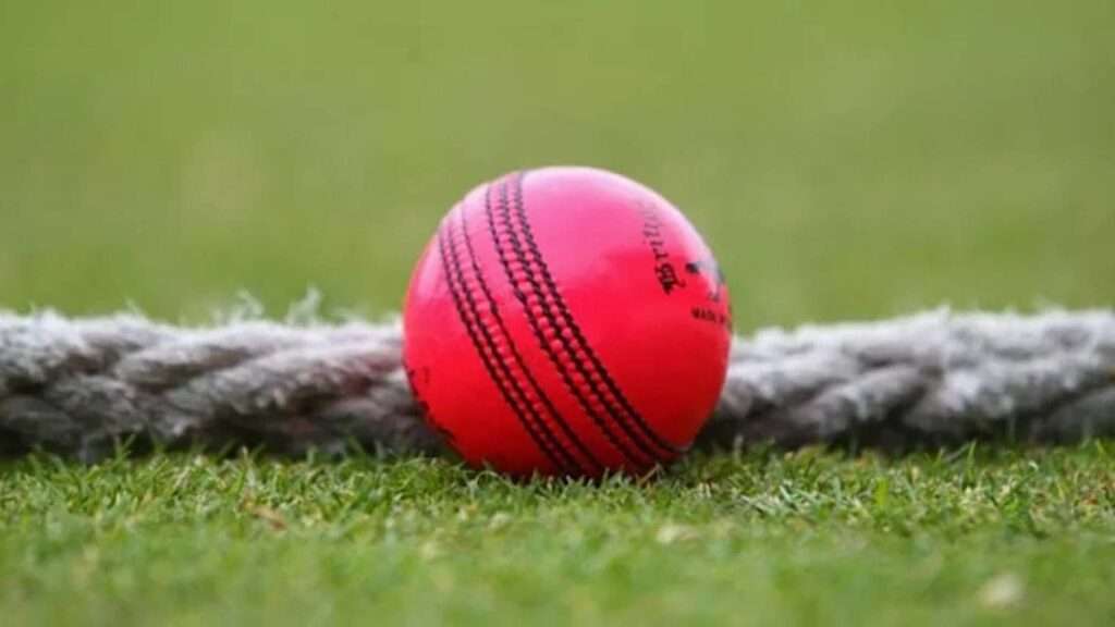 ICC's Pink ball. Pic Credits: FILE